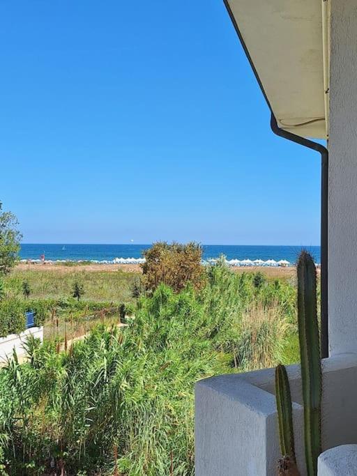Le Dune E Il Gabbiano Vasto Exterior foto